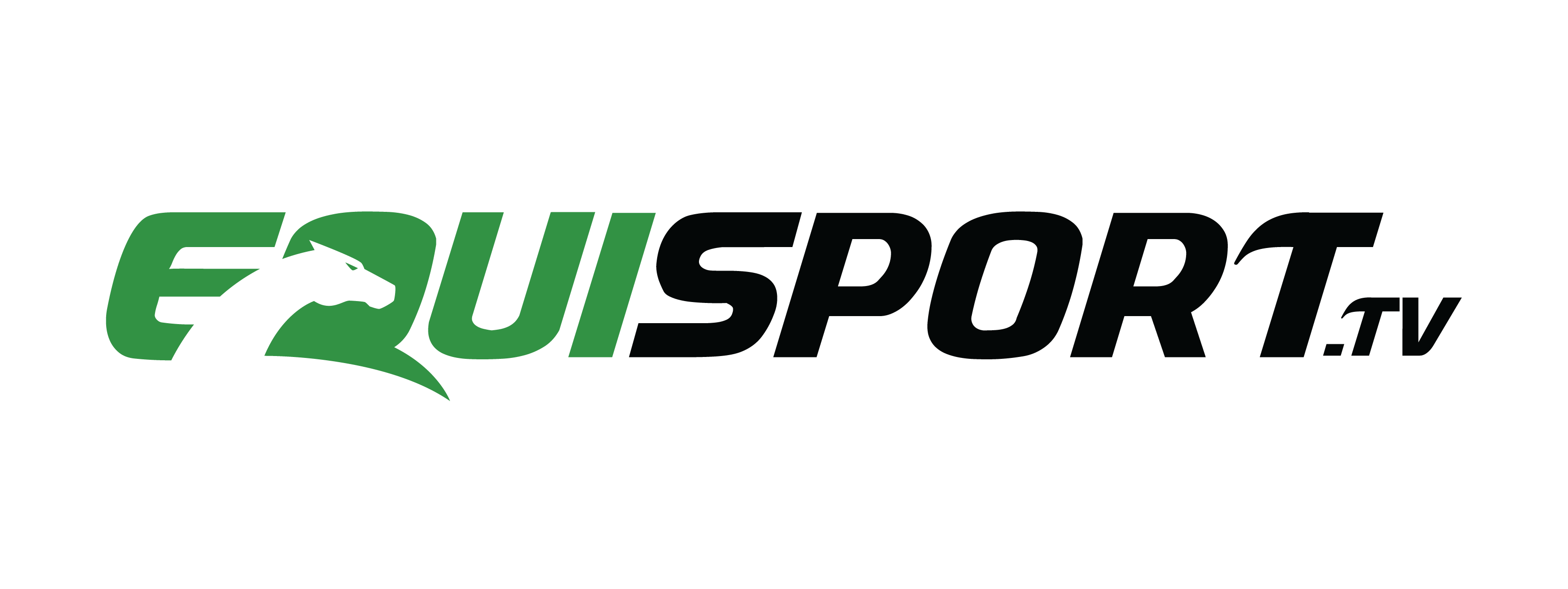 Logga Equisport