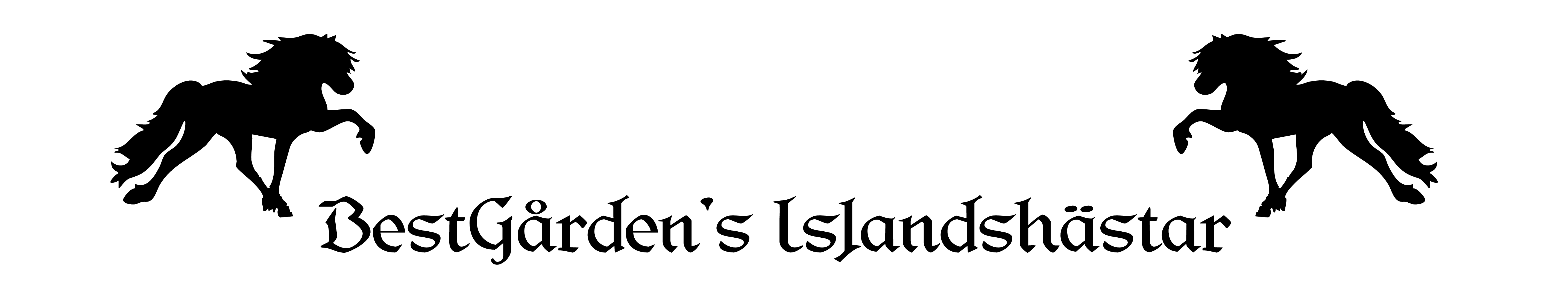 Logo Bestgårdens Islandshästar